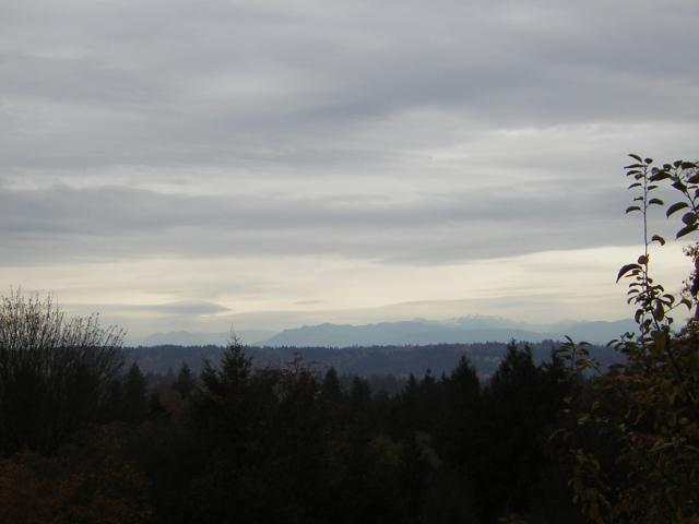 DSCN0636.jpg