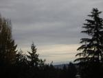 DSCN0637.jpg