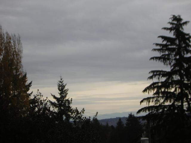 DSCN0637.jpg