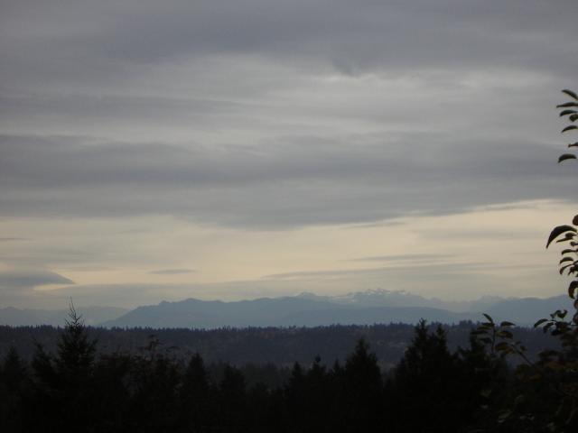 DSCN0639.jpg