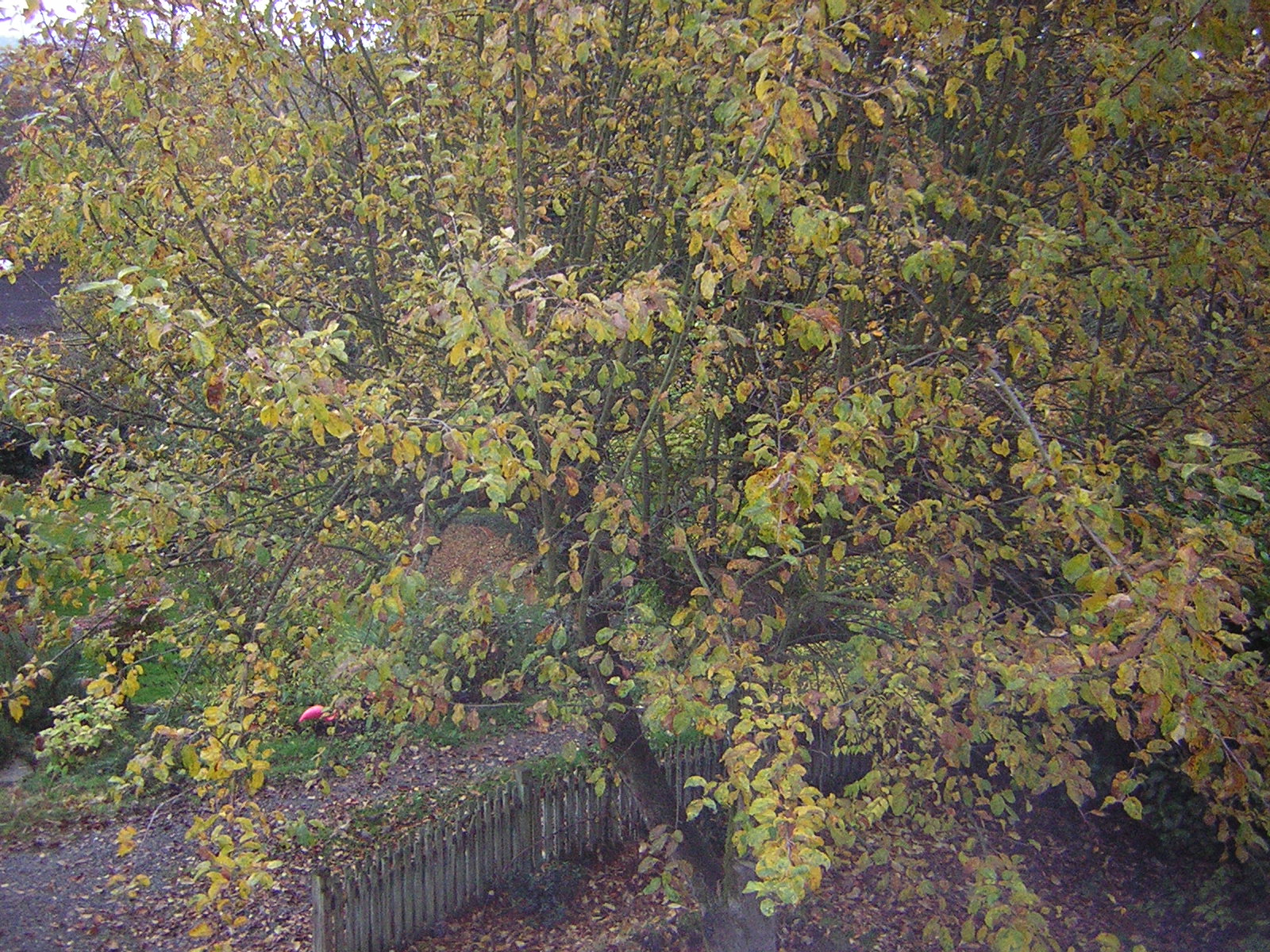 DSCN0640.jpg