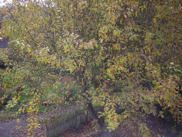 DSCN0640.jpg