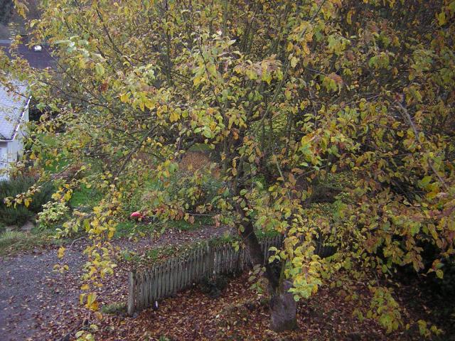 DSCN0641.jpg