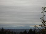 DSCN0644.jpg