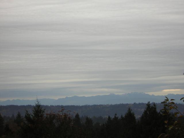 DSCN0645.jpg