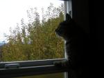 DSCN0646.jpg