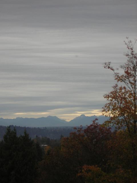 DSCN0648.jpg