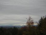 DSCN0649.jpg