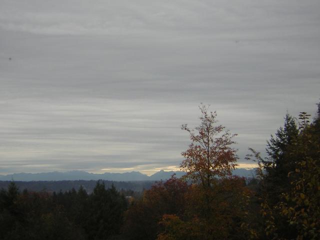 DSCN0649.jpg
