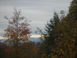 DSCN0650.jpg
