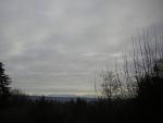 DSCN1019.jpg