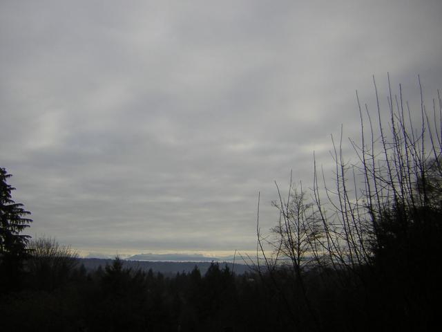 DSCN1019.jpg