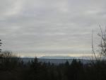 DSCN1020.jpg
