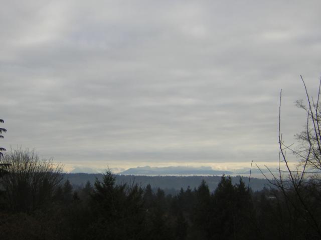 DSCN1020.jpg