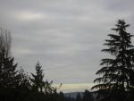 DSCN1021.jpg