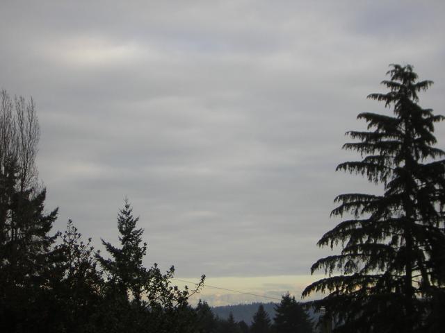 DSCN1021.jpg