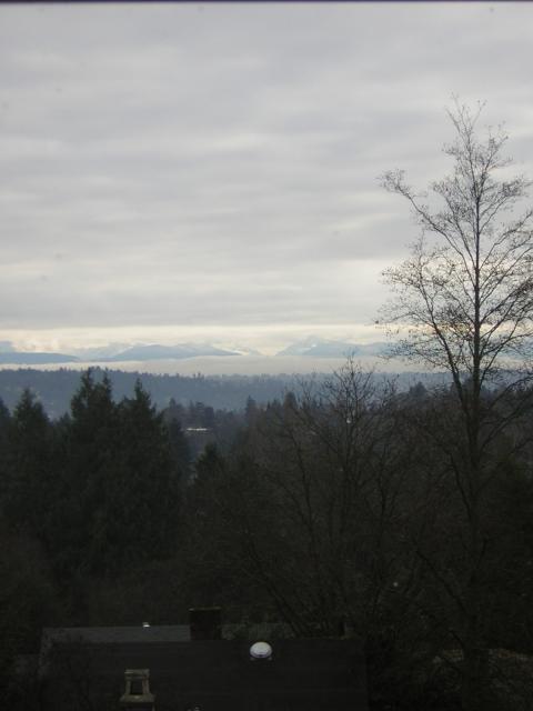 DSCN1022.jpg