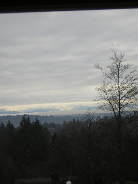 DSCN1023.jpg