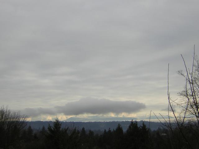 DSCN1025.jpg