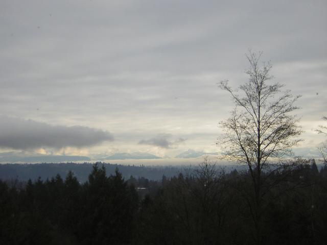 DSCN1026.jpg