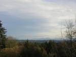 DSCN1106.jpg