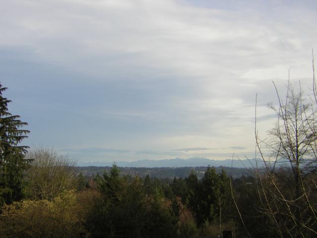 DSCN1106.jpg