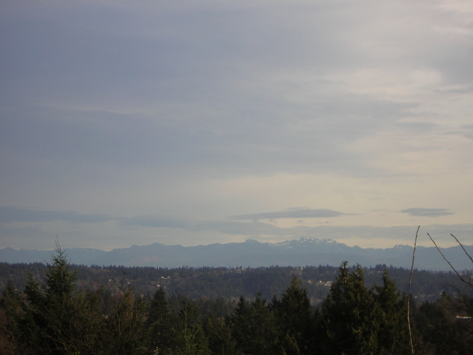 DSCN1107.jpg