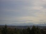 DSCN1107.jpg