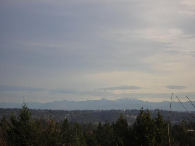 DSCN1107.jpg