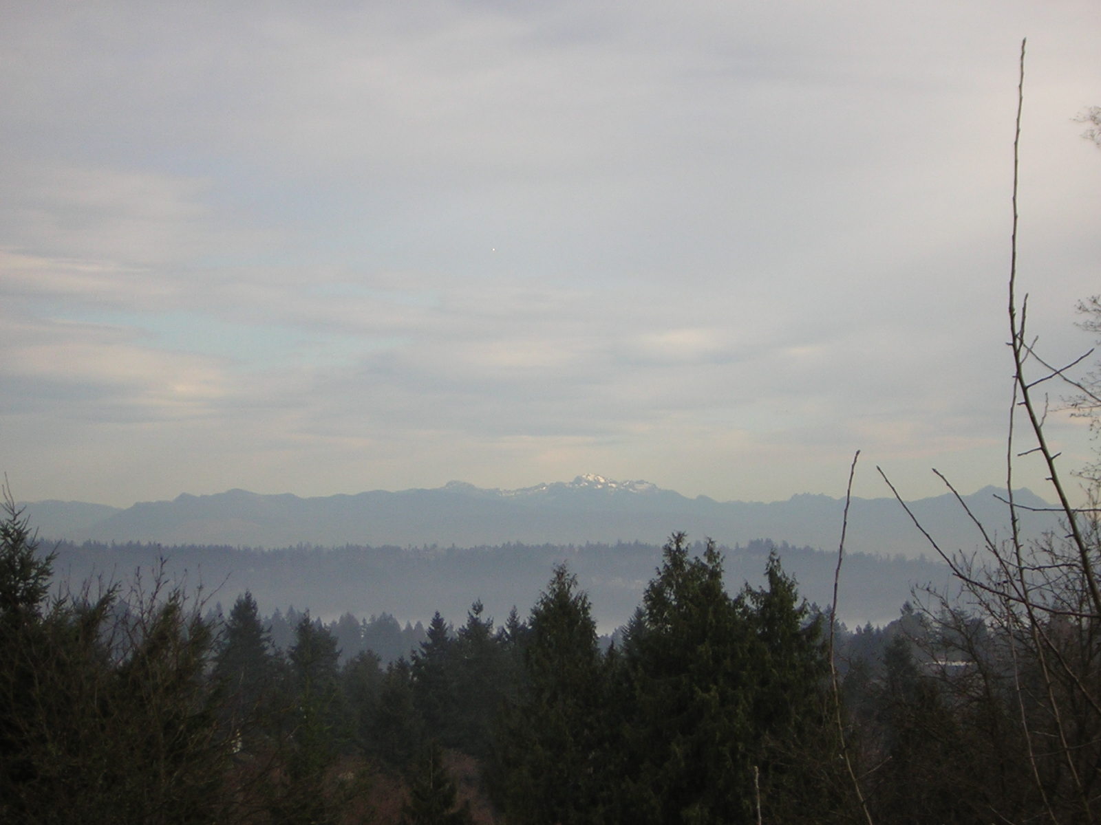 DSCN1114.jpg