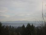 DSCN1114.jpg