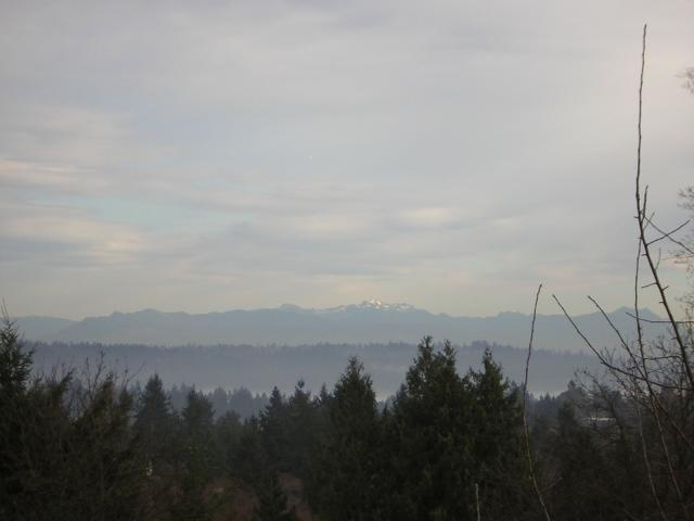 DSCN1114.jpg