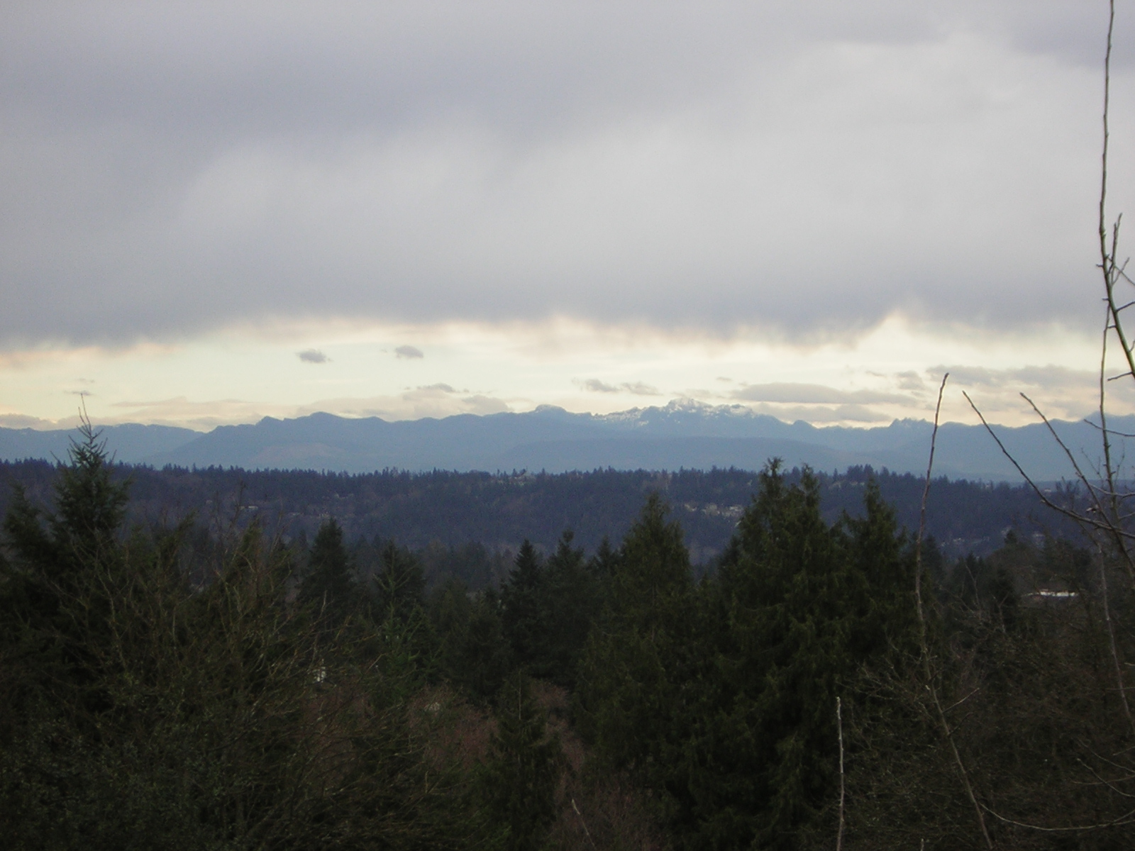 DSCN1126.jpg