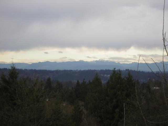 DSCN1126.jpg