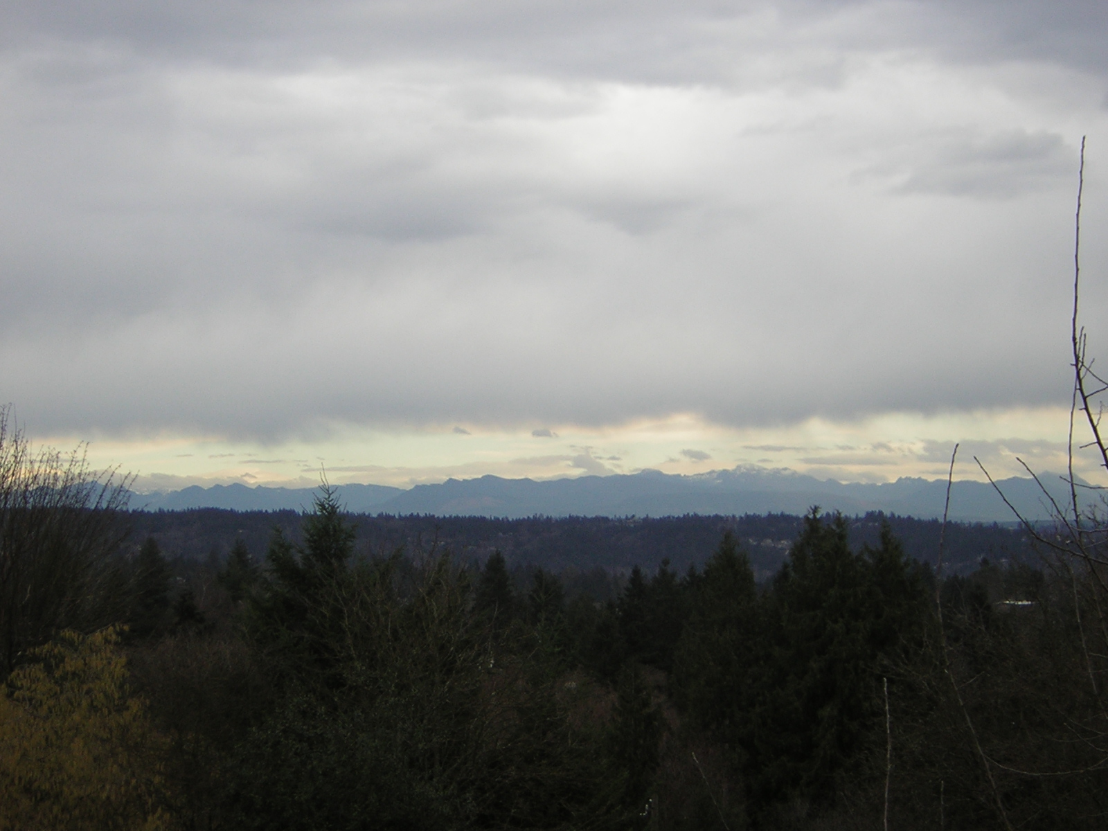 DSCN1127.jpg