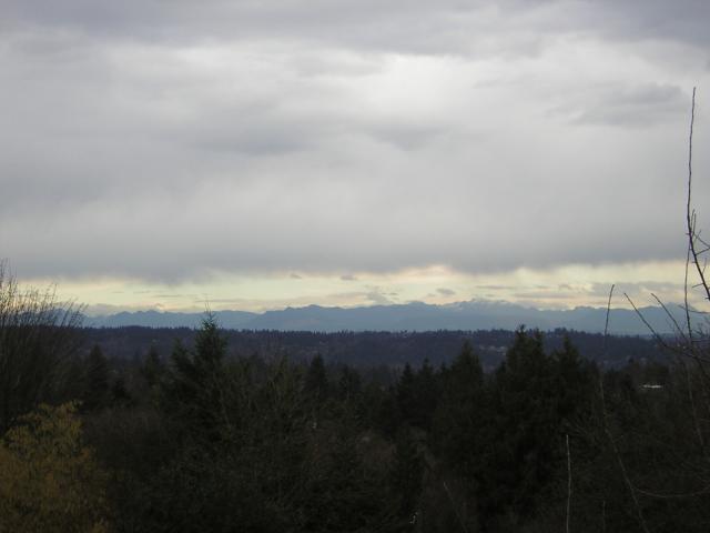 DSCN1127.jpg
