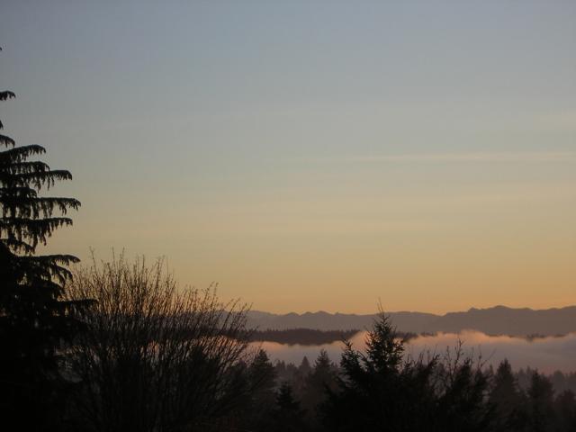 DSCN1169.jpg