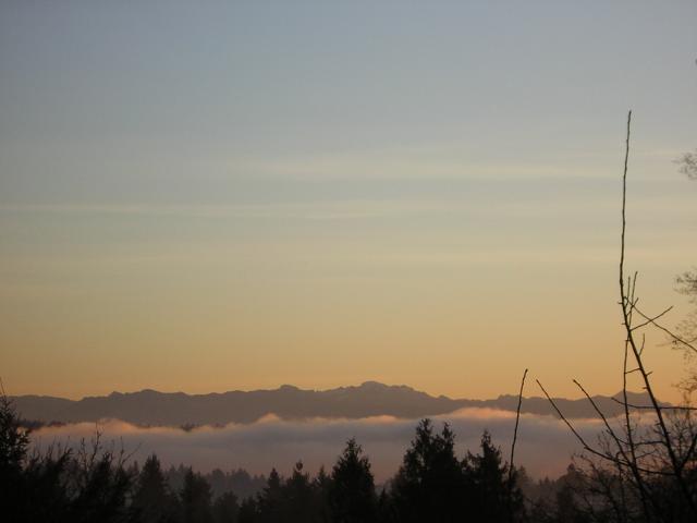 DSCN1170.jpg