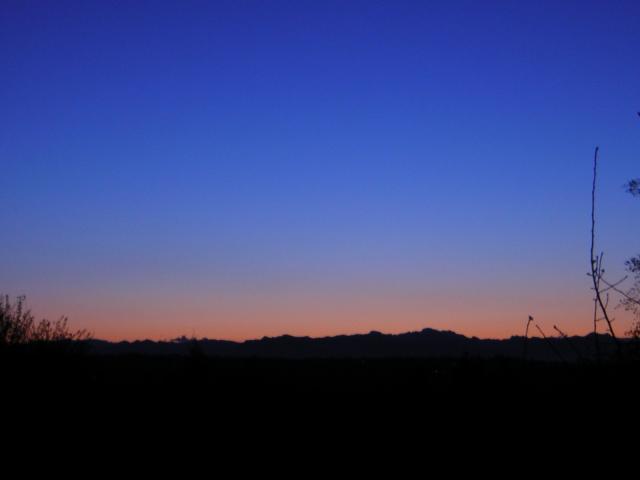 DSCN1386.jpg
