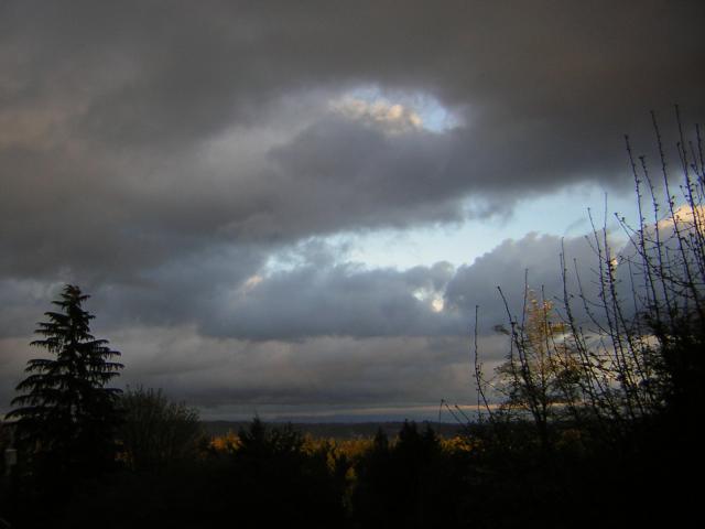 DSCN1395.jpg