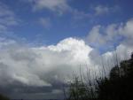 DSCN1416.jpg