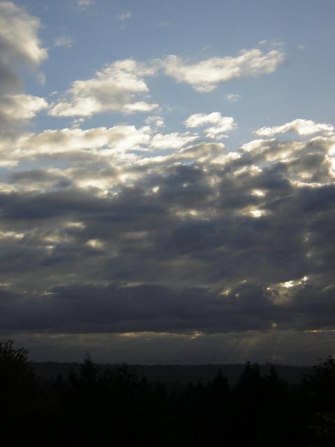 DSCN1454.jpg