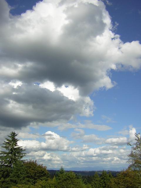 DSCN2713.jpg