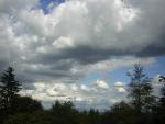 Big clouds & Milo
9/3/05