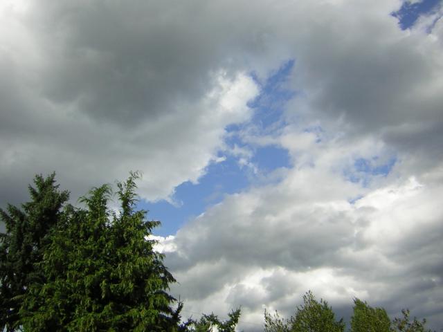 DSCN2715.jpg