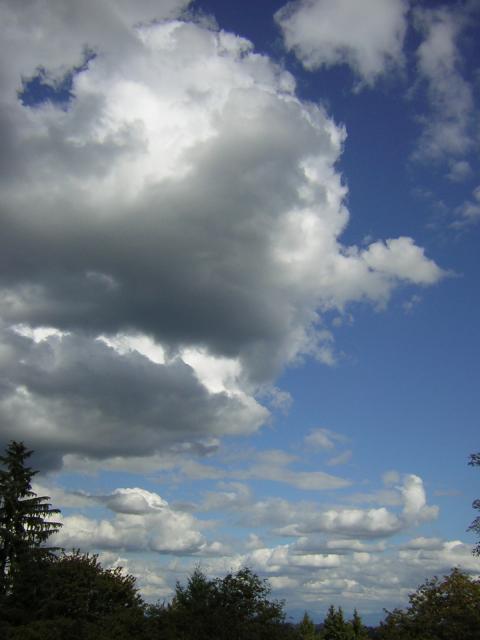 DSCN2716.jpg