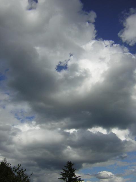 DSCN2717.jpg