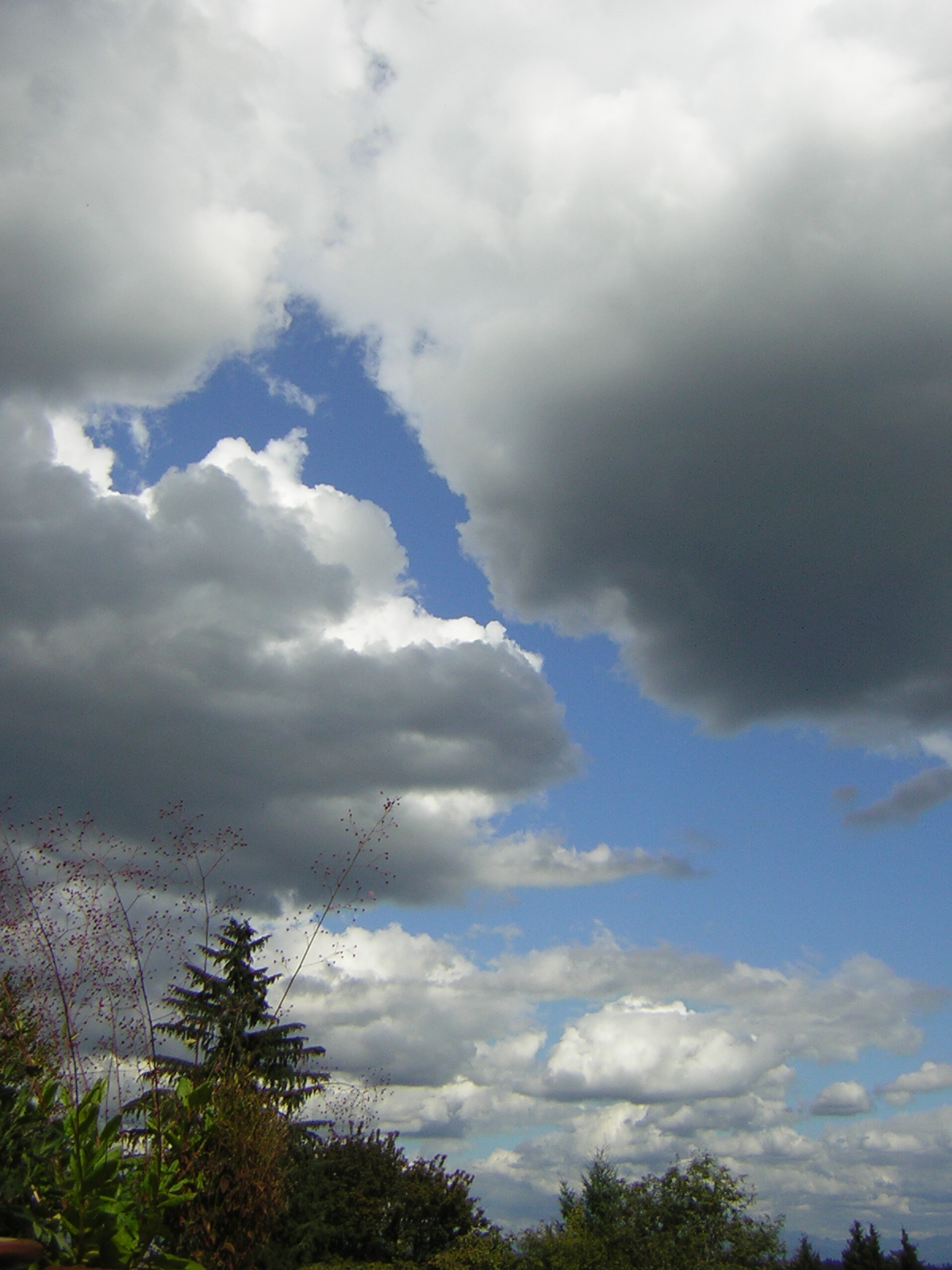 DSCN2718.jpg
