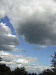 DSCN2719.jpg