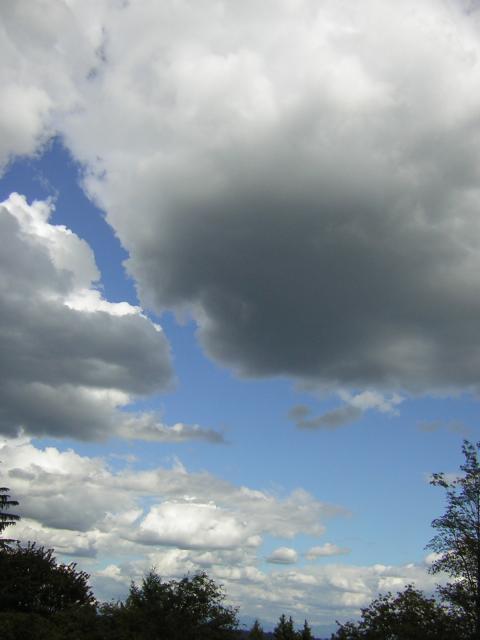 DSCN2719.jpg